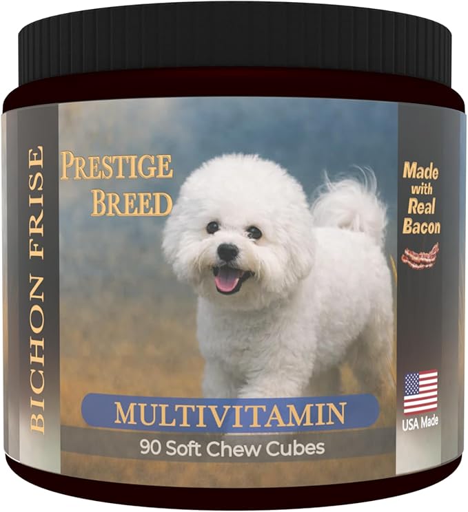 Bichon Frise