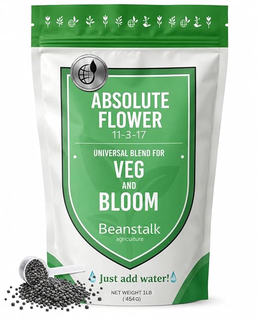 Absolute Flower