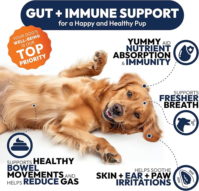 Probiotic Chews