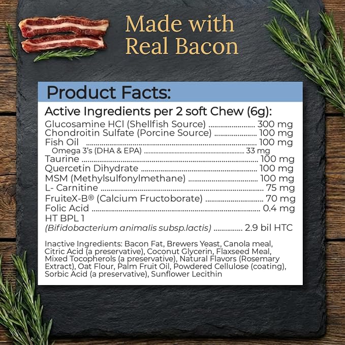 Irish Setter