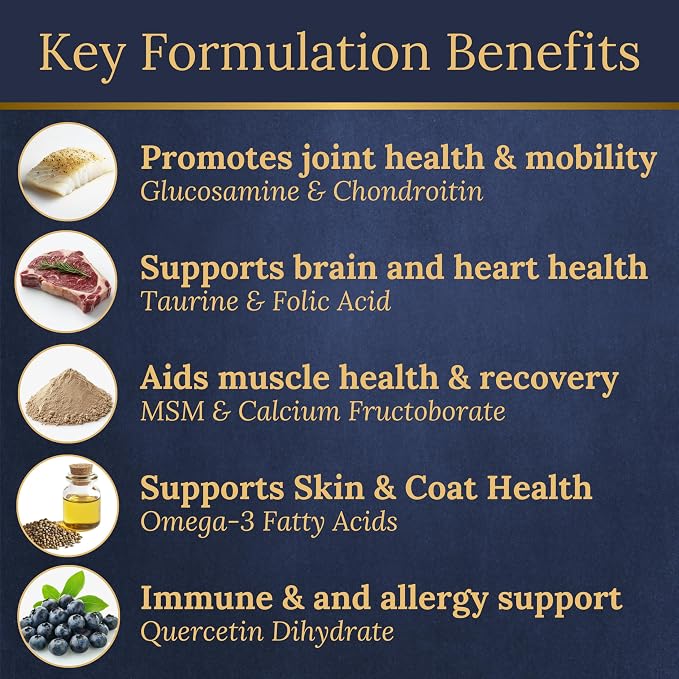 German Shorthaired Pointer